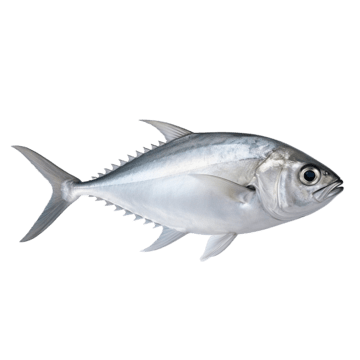 Trevally (Cleaned) /lb
