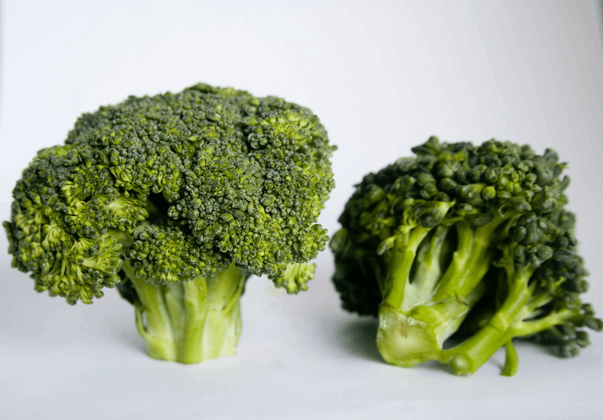 Broccoli