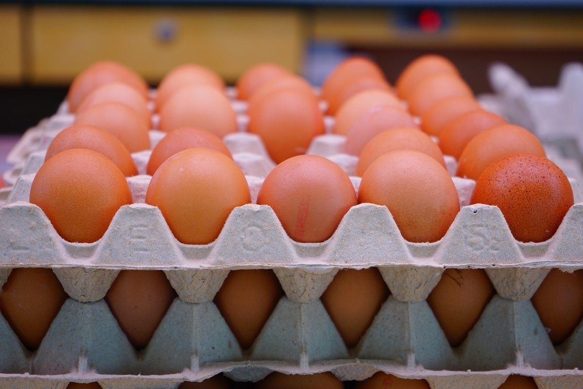 Eggs - 18 pk Crate