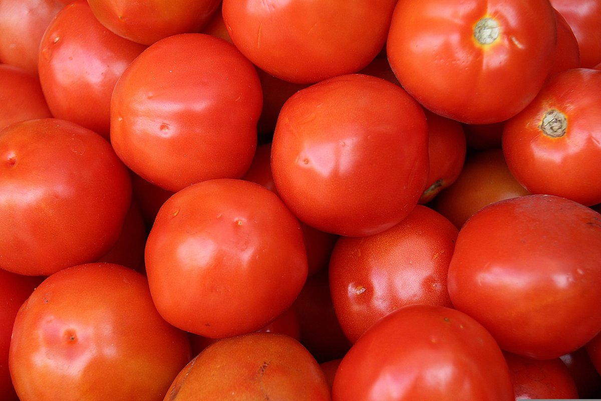 Tomatoes - 5 Lbs