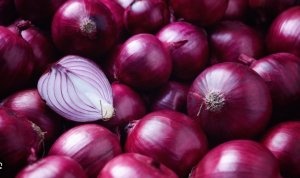 Onion - 25LB, Purple(Red)